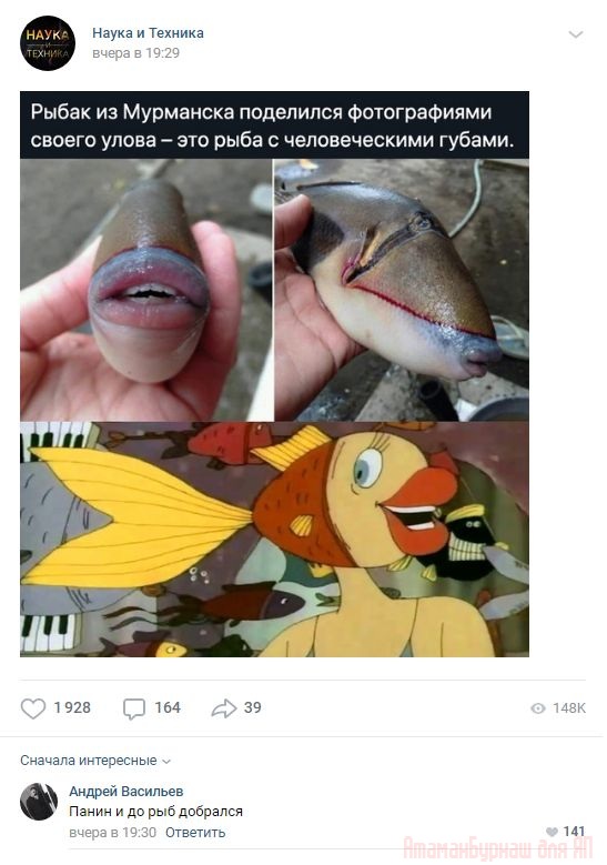 Комментарии к постам в разных группах, которые вызвали улыбку