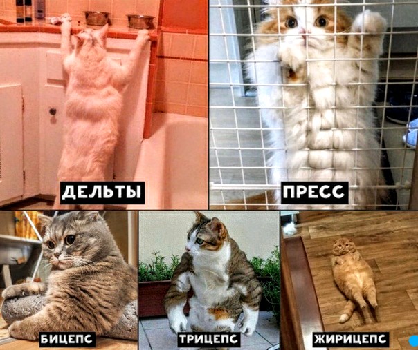 Немного картинок для настроения 30.05.20