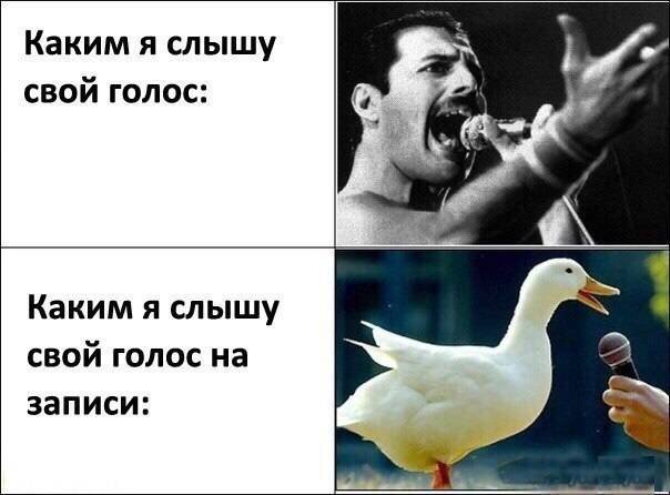 Бредзона 17.07.2020