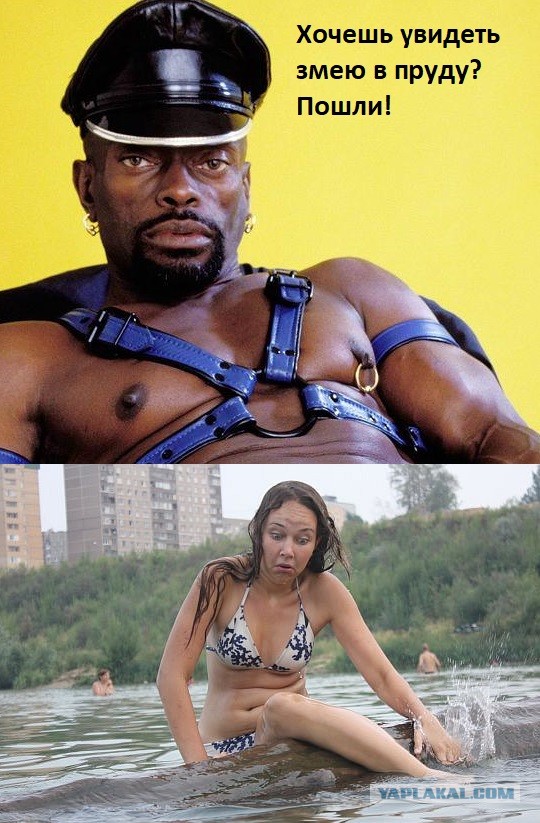 А давайте пожабим эту деваху