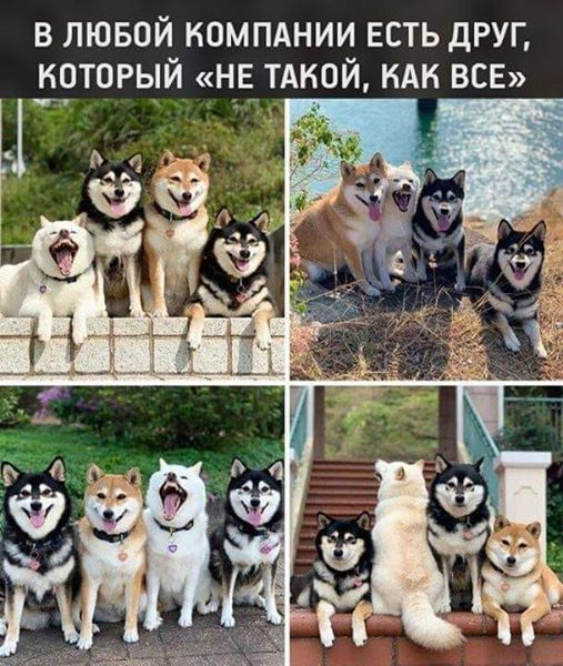 Немного картинок для настроения 10.09.20