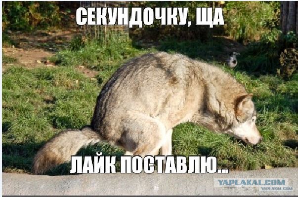 Уважаемому Владимиру Владимировичу сегодня 68!