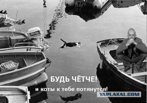 Фотожаба: Полет Барсика