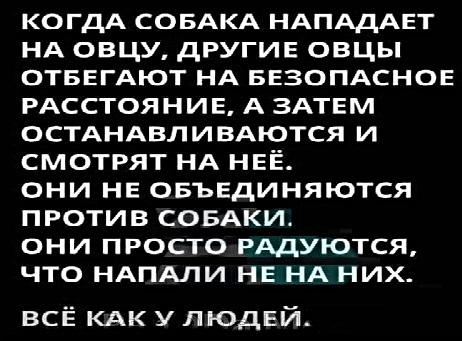 Картинки с надписями фразы  и анекдоты 16.11.20