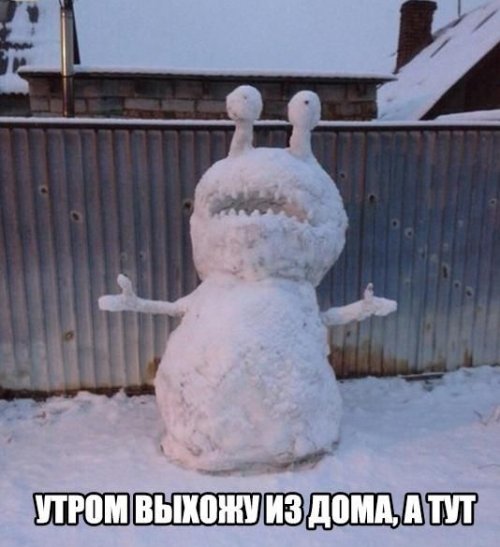 Прикольные и просто красивые картинки 23.12.2020