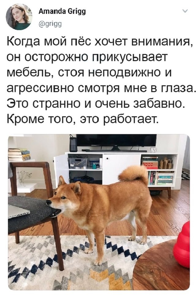 Картинки и мемы для настроения 027