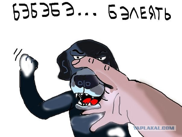 Собачий "рэп"