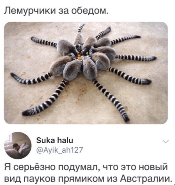 Так себе картинки 05.04.21