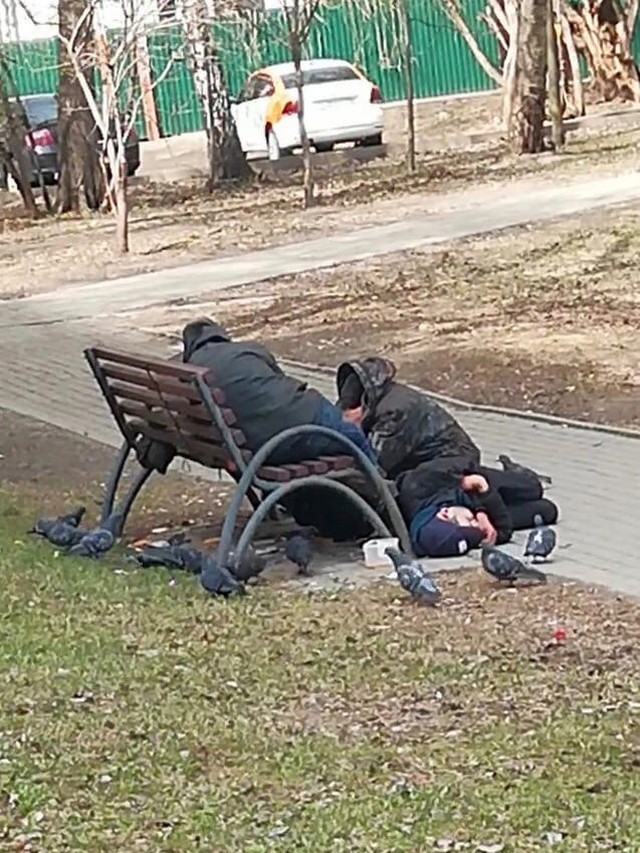 Чудики из социальных сетей 01.05.21