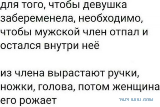 Аморальная деградация