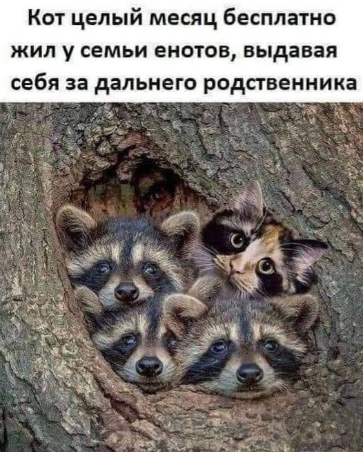 Всяческие картинки 16.06.2021