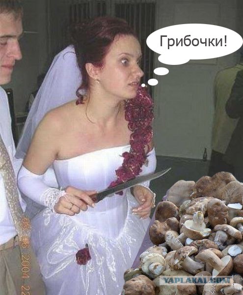 Маринованные белые грибы