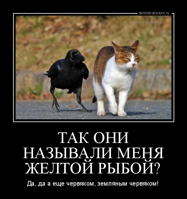 Ну что, по чарке?