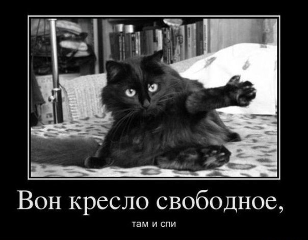 ТруЪ демотиваторы