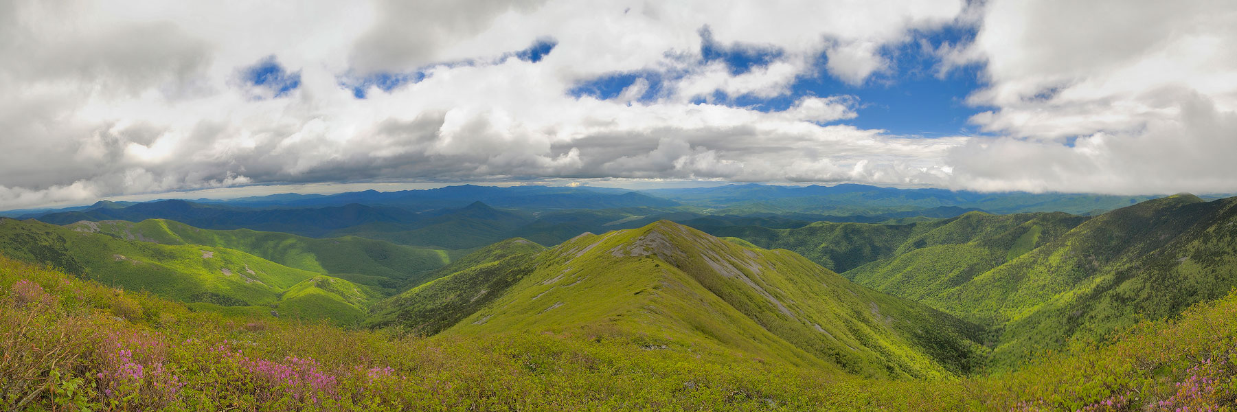 Сопки Приморского края фото