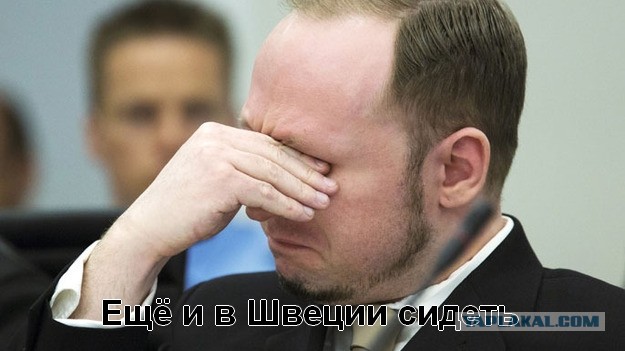 Поддержка семьи в Швеции: 9 фактов