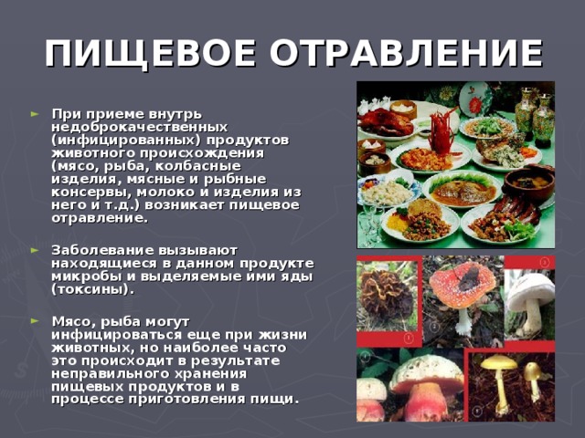 Пандемия съехавших крыш - разновидности болезни. Россия и мир. Часть 38