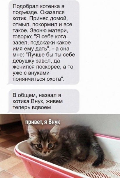 Скриншоты и комментарии из социальных сетей 30.01.23