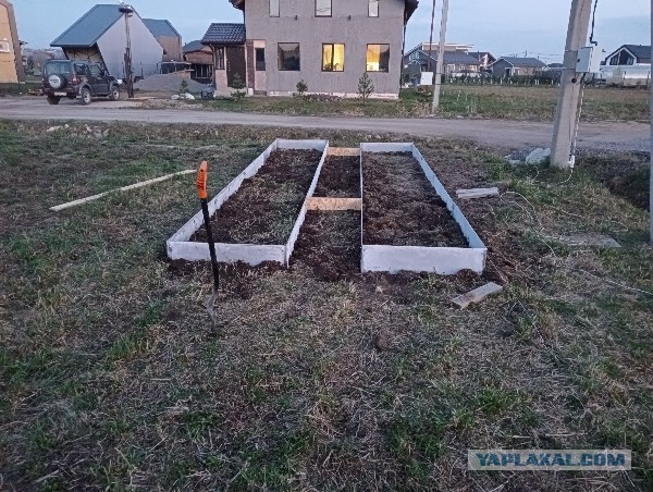 Моя неудача с грядками, может кто-то вынесет урок.