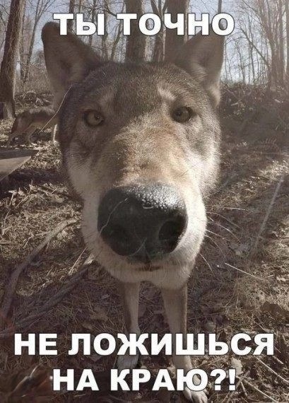 Нуштош 29.06.2023
