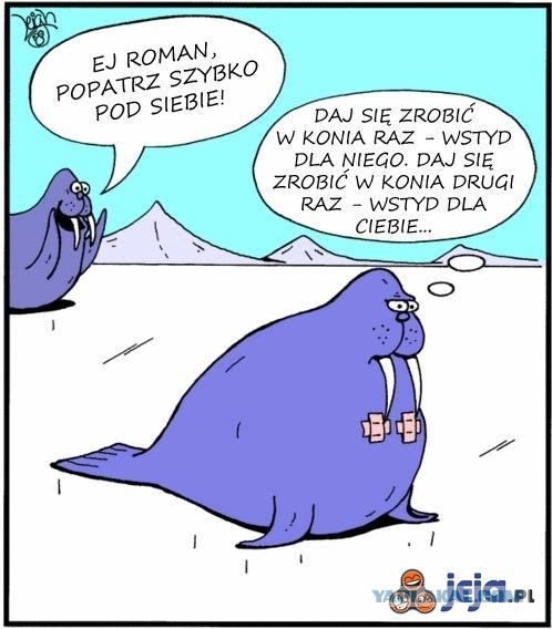 Шутник, блин...