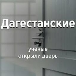Прошаренный котэ.