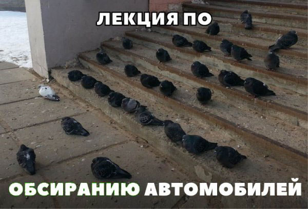 Средашние баяны