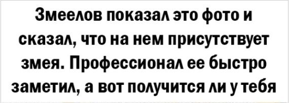 Так себе картинки 05.06.24