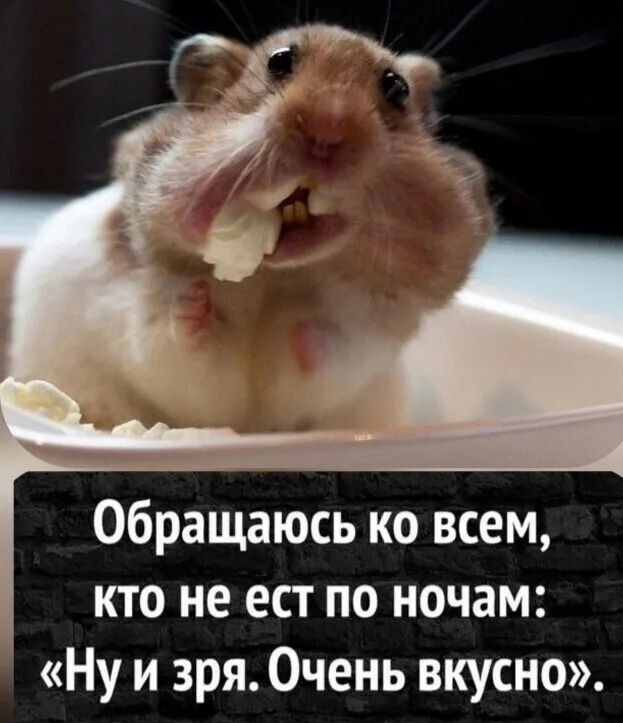- Наташа! Слышь? Сосисок купи, сметану не забудь и рыбов, рыбов побольше купи!