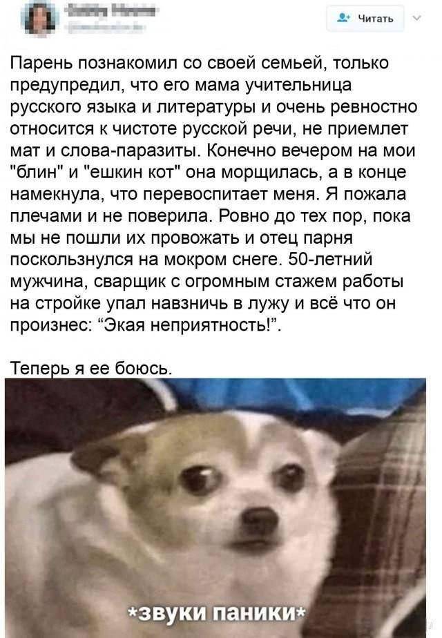 Веселые картинки в маленькую пятницу (09.04)