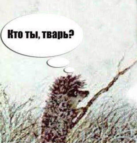 Оно ест... И может отплясывать