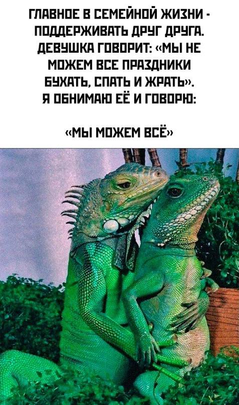Картинки для деградации 8 ( разной степени свежести)
