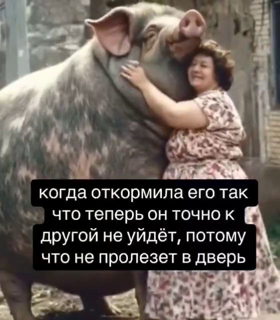 Забавные и не очень скромные картинки - 13