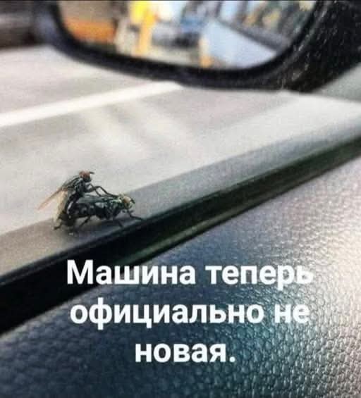 Маленькая пятница 22.10