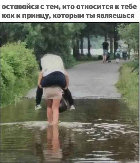 Среды картинки