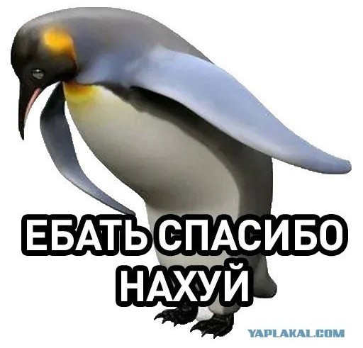 Силуанов заявил, что последствия повышения НДС «мы не заметим»