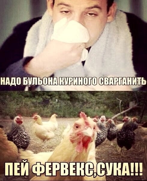 Картинки для деградации 132 (разной степени свежести)
