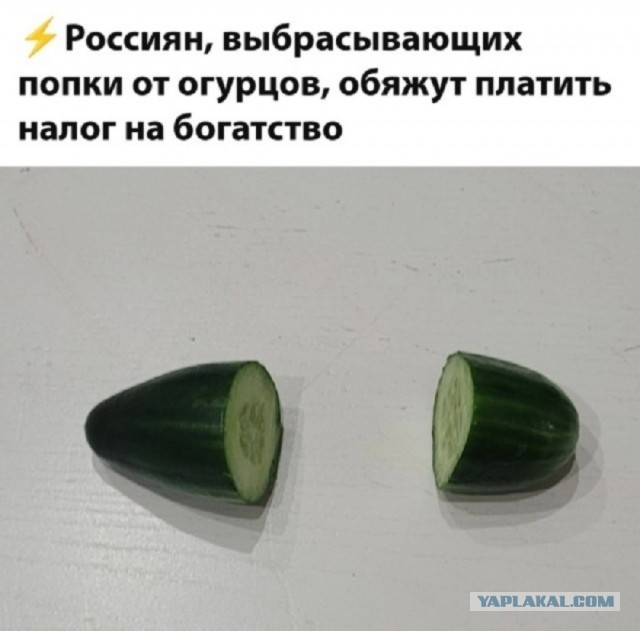 Так себе картинки 26.02.26