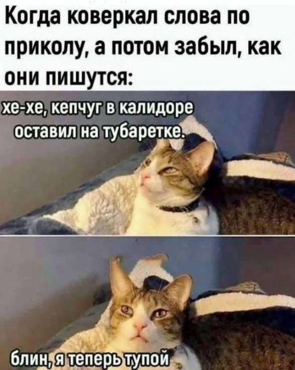 Картиночки, баянчики 08 апреля