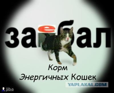 Стратегический запас
