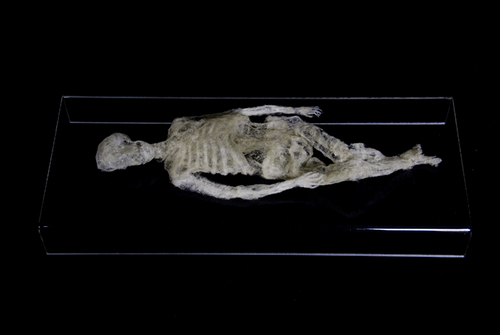 Пыльное искусство (9 фото)