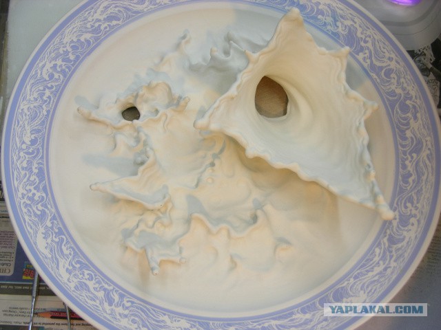 Сказочный дракон в тарелке от Johnson Tsang
