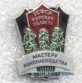 Марши за легалайз