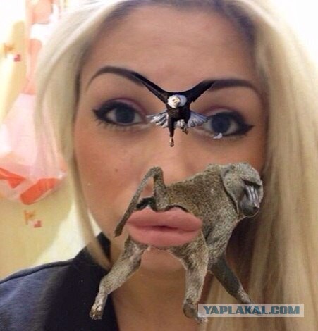 Ты будешь нашим королём