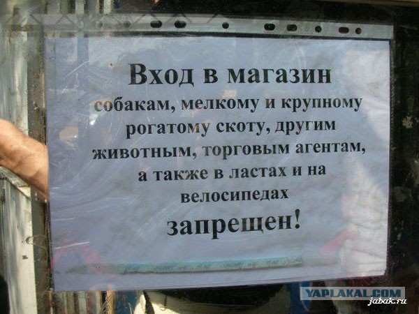 Картинки из интернетов