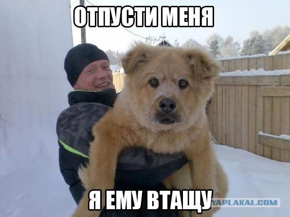 Возвращение блудного сына...