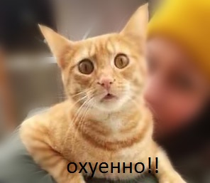 Неожиданно 100500 лс