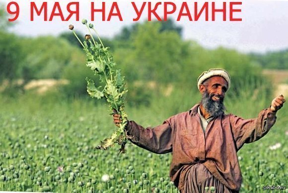 Шарий о маразме