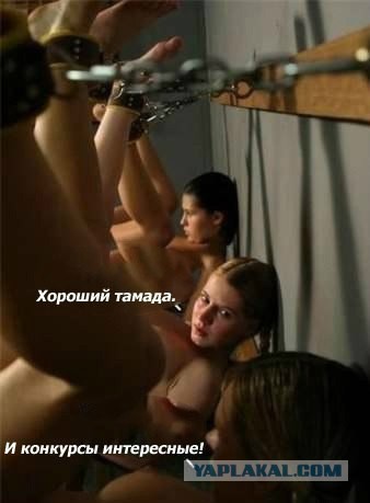 В Ростове на курсах пикапа устраивали оргии