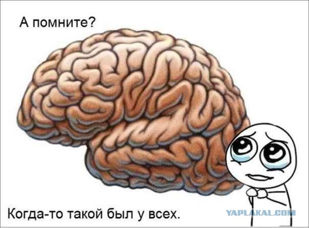 Перемирие кончилось, едва начавшись. Часть 9
